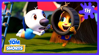 Hank plakt zichzelf VAST aan de schommel! 🛞 Talking Tom | Tekenfilm voor Kinderen
