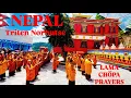 Download Lagu 🇳🇵 Nepal: Lama Chöpa Prayers for H.E. Yongdzin Rinpoche | Triten Norbutse Monastery, Kathmandu