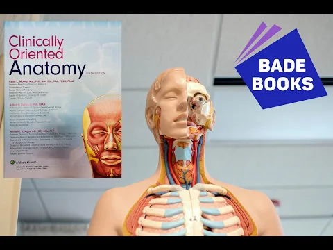 Download MP3 Clinically Oriented Anatomy