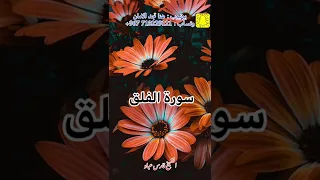 سورة الفلق الشيخ فارس عباد 