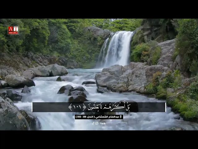 ⁣وَإِذَا بَدَّلْنَا آيَةً مَّكَانَ آيَةٍ .. || مقطع جميييل جدا ، الشيخ عبدالفتاح الشعشاعي