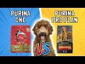 Purina ONE vs Purina Pro Plan What s the Difference Expert Comparison