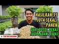 Lagu NGGAK NYANGKA‼️Kacang Tanah di Botol Bekas Bikin CUAN PULUHAN JUTA. Pemula Wajib Tahu‼️