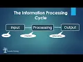 Information Processing Cycle CAT