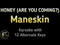 Download Lagu Måneskin - HONEY (ARE U COMING?) Karaoke Instrumental Lower Higher Female \u0026 Original Key