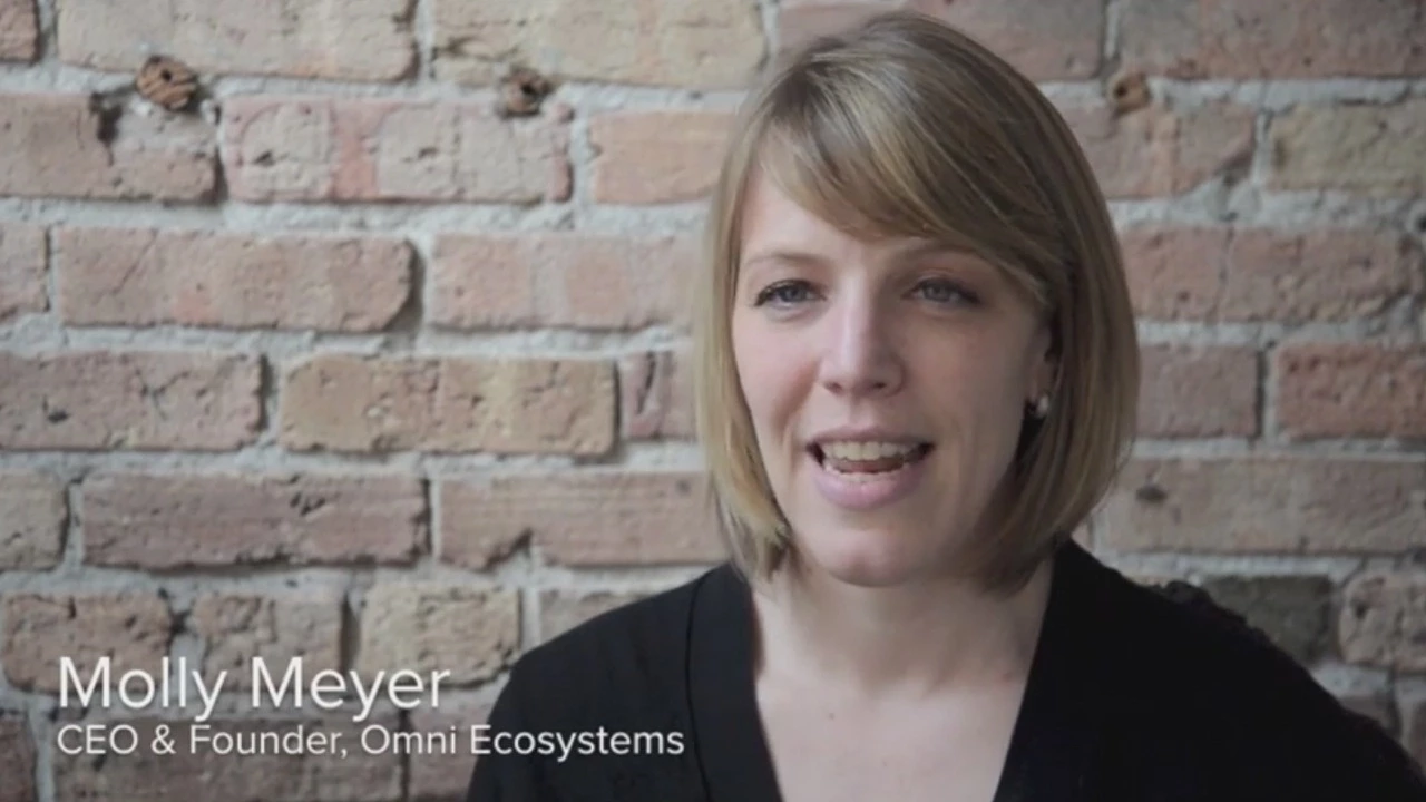 Beyond Extensive and Intensive: Defining the Comprehensive Green Roof by Molly Meyer