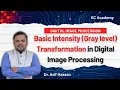 Image Negative Transformation in Spatial Domain Digital Image Processing Technique