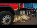 Download Lagu HUGE Reptile in His Truck