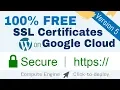Setup Free SSL Certificates for WordPress on Google Cloud Click-to-Deploy