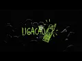 Fleezus, Iuri Rio Branco & CESRV - Ligação (Feat. Marina Sena) (Visualizer Oficial)