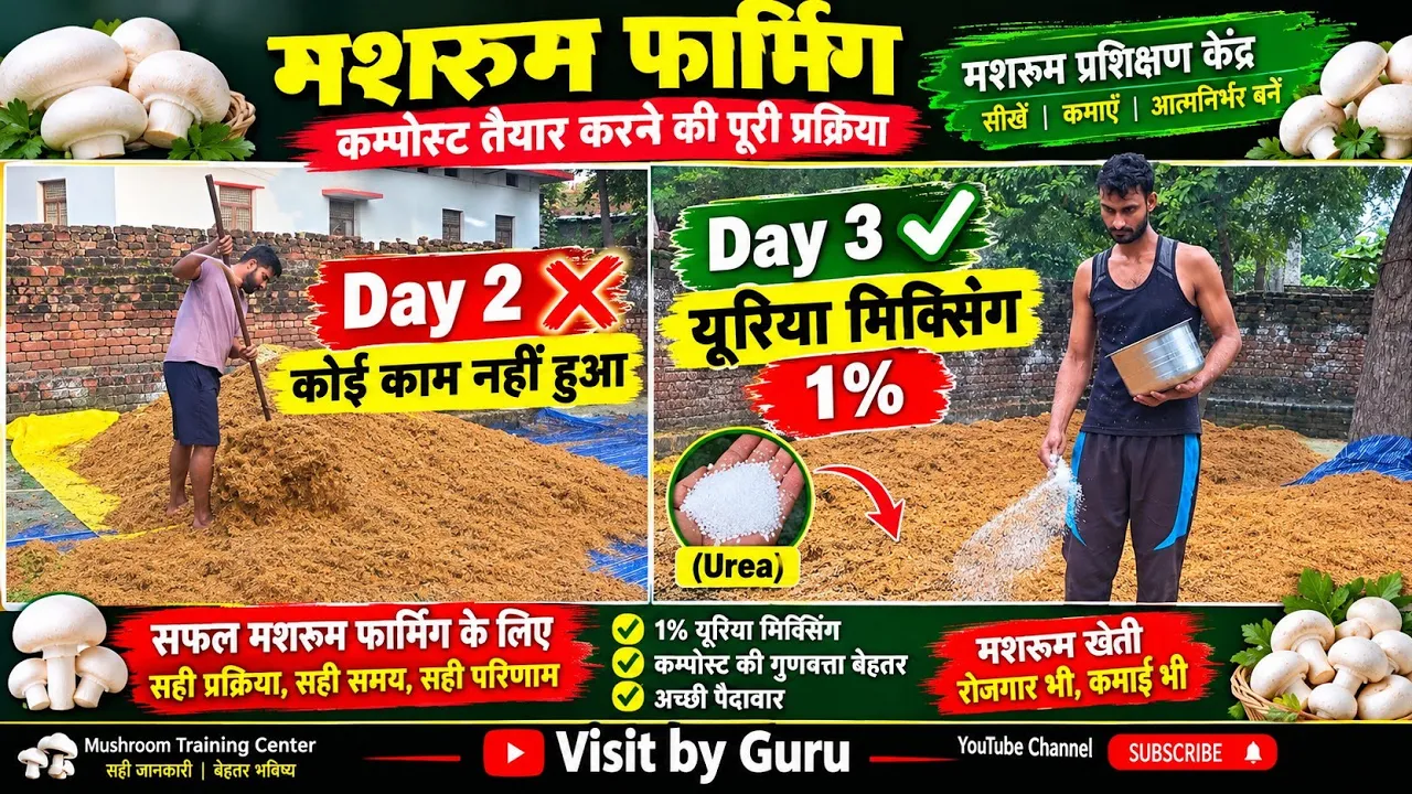 मशरूम फार्मिंग Day 3 | भूसे में यूरिया की मिक्सिंग कैसे करें | 20 क्विंटल भूसे की तैयारी
