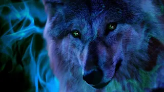  asmr yandere werewolf chooses you as his alpha finale part 1 gender neutral 