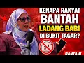 Lagu Apa Sebab Kita Bantah Ladang Babi di Bukit Tagar? Ini pandangan NGO! 