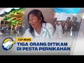 Download Lagu Pesta Pernikahan di Sikka Berujung Maut - [Top News]