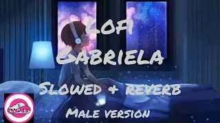 gabriela slowed reverb male version gabriela 