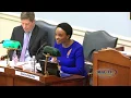 City Councilor Called Out over Possibly Defamatory Remarks