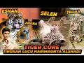 Download Lagu TIGER CORE ! ESHAN JINORA SELEN TEONA