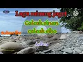 Download Lagu Asben//Bini nan babudi// sarunai minang//minang kalason