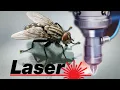 Download Lagu kill fly with laser cnc