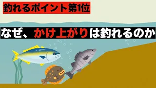 釣れるポイント駆け上がり、ブレイクの見つけ方と釣り方・攻略法
