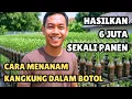 Download Lagu CARA MENANAM KANGKUNG DALAM BOTOL TIDAK PERLU DISIRAM SAMPAI PANEN‼️ HASILKAN 6 JUTA SEKALI PANEN