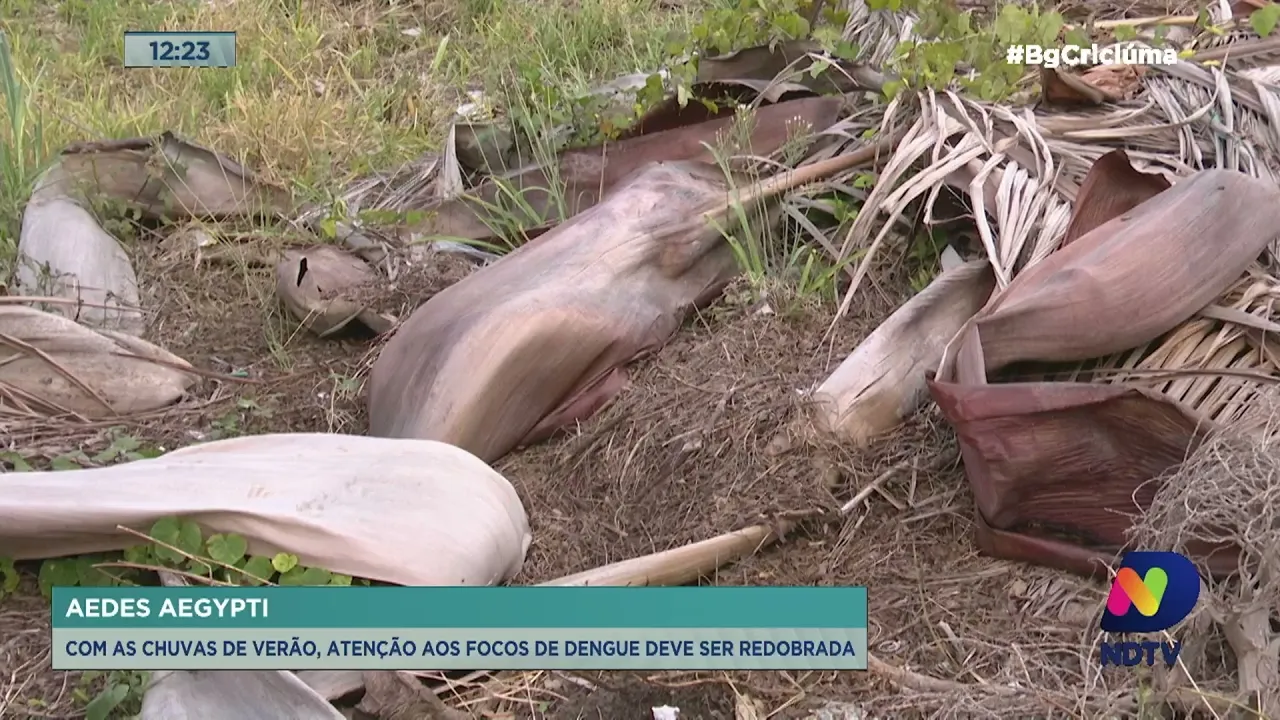 Período de chuvas reacende alerta contra o mosquito da dengue