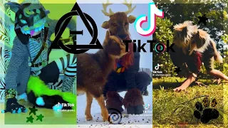 Therian, Quadrobics, & Kemonomimi TikToks || Compilation 🐾🪱🪲|| Alterhumans of TikTok #91