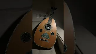 هلال الفهد   يابن الحلال   جلسه      دندنها