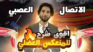 ثانية ثانوي ا أقوى شرح لدرس المنعكس العضلي 