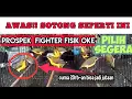 Download Lagu CARA MEMILIH SOGOK ONTONG OMBYOKAN YANG BAGUS