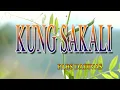 KUNG SAKALI [ karaoke version ] popularized by PABS DADIVAS