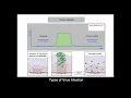 IPVS Educational Webinar 2021 - I HPV Latency is it real and does it matter