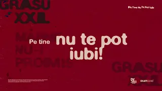 Descarcă Grasu XXL - Pe Tine Nu Te Pot Iubi MP3 gratuit - Muzica123