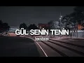Bora duran - Gül Senin Tenin (lyrics video) #dnrxfox