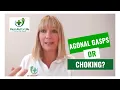 Agonal Gasps What are They