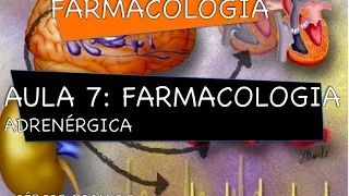 Curso de Farmacologia: Aula 7 - Farmacologia adrenérgica - Divisão Farmacológica