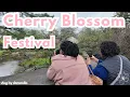 Philly Cherry Blossom Festival 4 13 24 daracella vlog