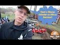 Stump Grinding Cost - Rent or Service