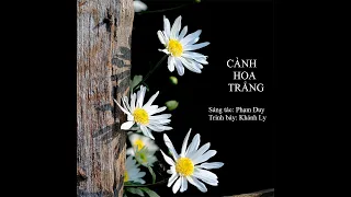 Cành hoa trắng