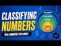 1 Classifying numbers