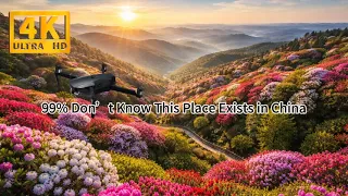 👉 “99% of People Will Never See This Hidden Flower Ocean” | 99%的人一辈子没见过的花海,就藏在贵州》