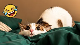 😹🐶 Try Not to Laugh | Funniest Cats and Dogs | Funny Animals 2026 😂