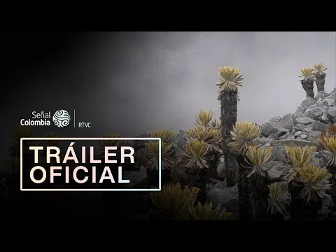 Páramos, el país de las nieblas | Documental de Señal Colombia