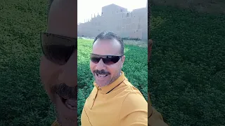 نكته ولد فرفور دخل الجيش هتموت من الضحك ههههههههههه   دندنها