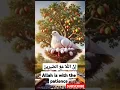 Download Lagu Best Qurani Wazifa 💯#short #allah #viralvideo #islamic #quran #dua  #wazifa #ytshort #youtubeshorts