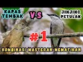Download Lagu MASTERAN KOMBINASI | JINJING PETULAK \u0026 KAPAS TEMBAK🔥 Speed Rapat, Tembakan Durasi Panjang Jernih