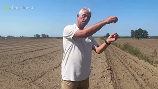 Çfarë Duhet të Dini Rreth Kultivimit të Patates Verore | Agronom z. Isuf Demirxhiu