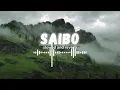 Saibo (Lyrics) - Sachin-Jigar, Shreya Ghosha, Tochi Raina