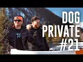 Download Lagu 🟢 Dubdogz na Neve - Live at W Hotel (Aspen, CO) MAR/2022