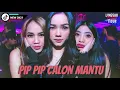 Download Lagu DJ PIP PIP CALON MANTU JUNGLE DUTCH 2021 #LINGGAUBELUMTIDUR